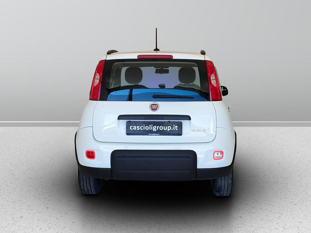 FIAT Panda III 2021 - Panda 1.0 firefly hybrid City Life s&s 70cv