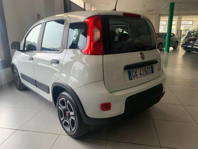 FIAT Panda 1.0 FireFly S&S Hybrid City Life