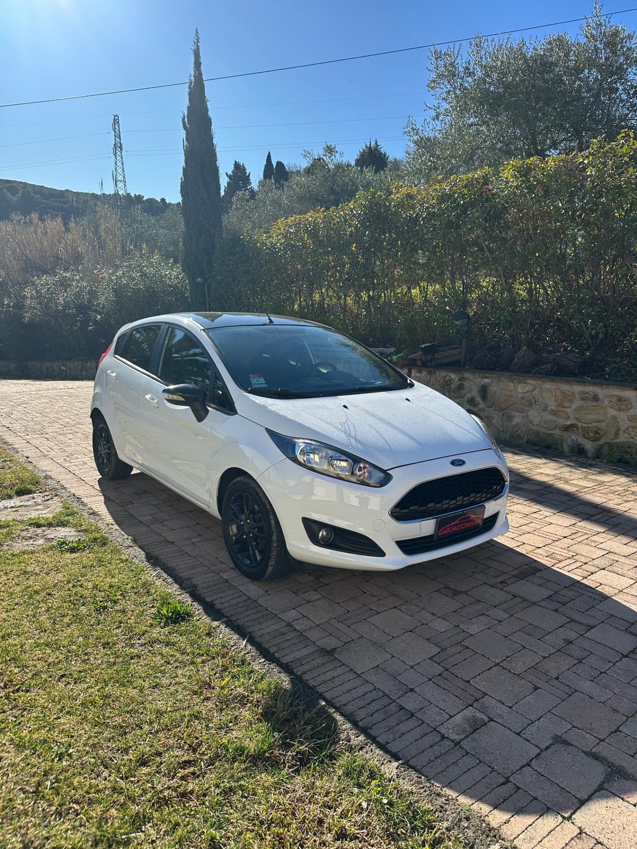 Ford Fiesta 1.5 TDCi 75CV 5 porte Black & White Edition