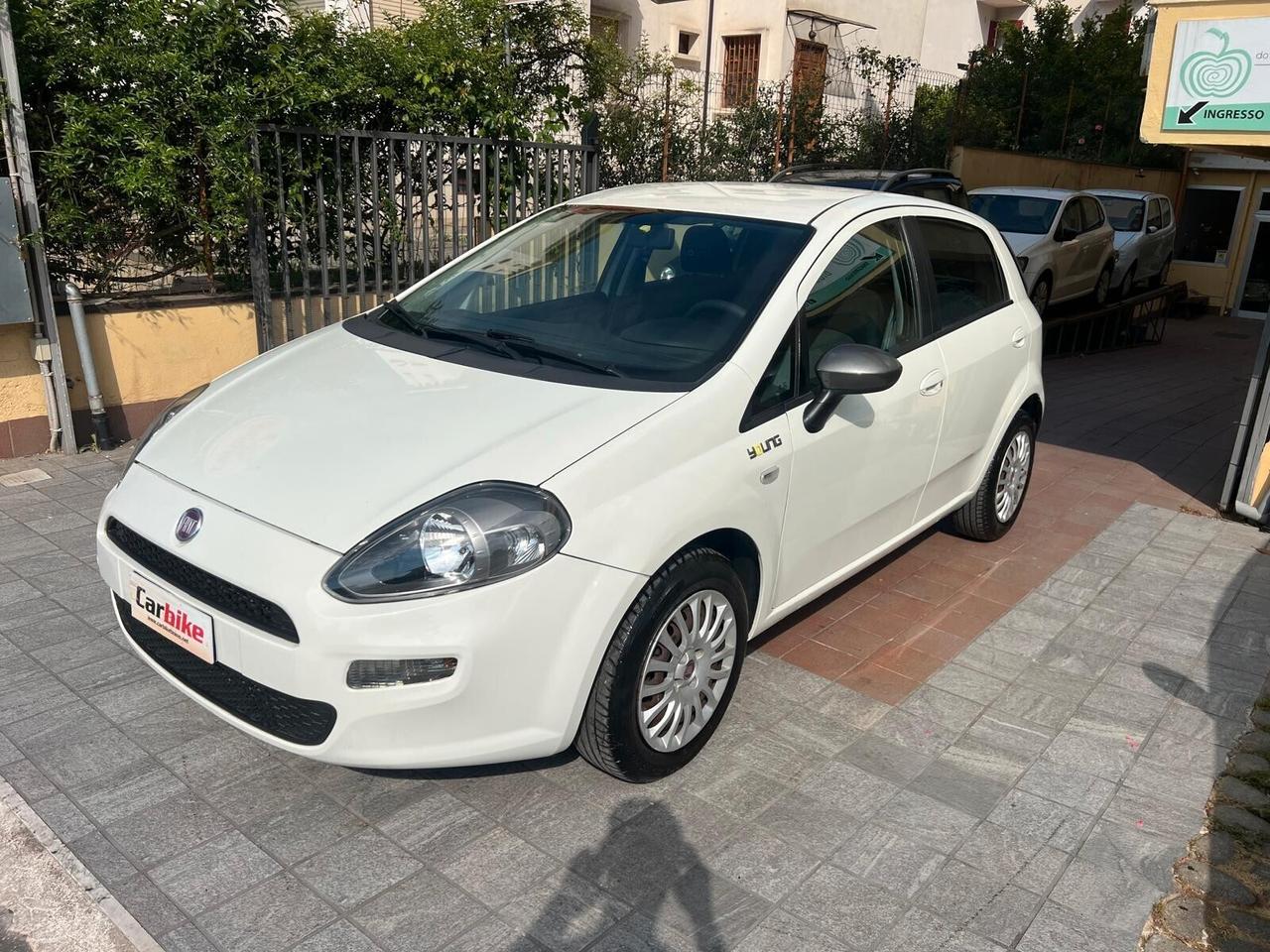 Fiat Punto 1.4 8V 5 porte Easypower Young