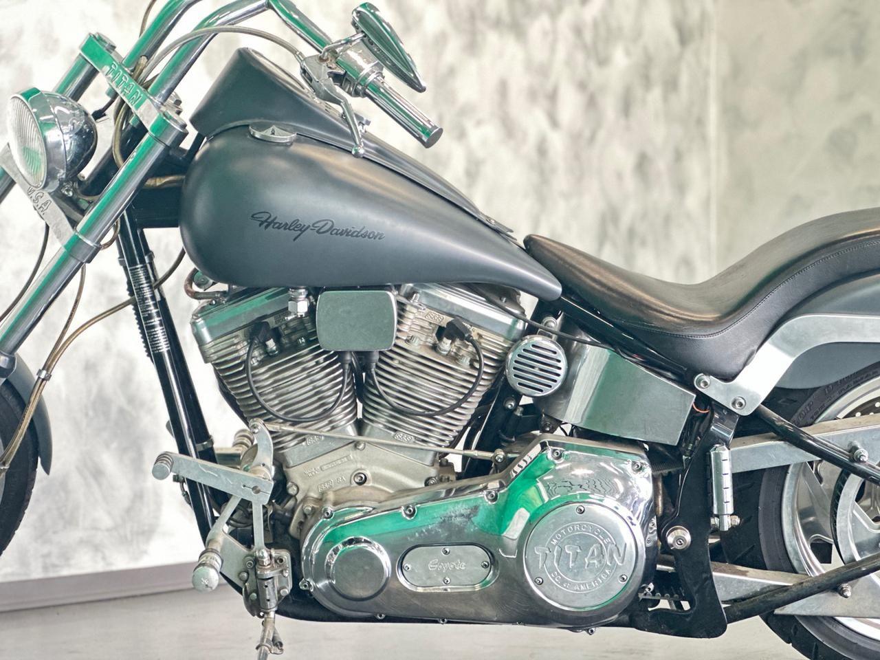 Altro Altro Titan Coyote - Harley Davidson Softail
