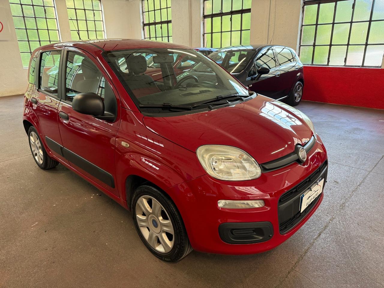 Fiat Panda 1.2 OK NEOPATENTATI - CINGHIA OK