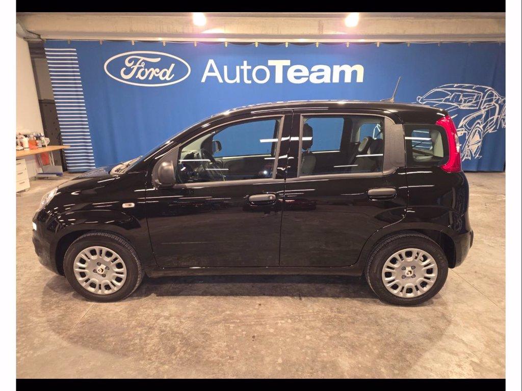 FIAT Panda 1.0 firefly hybrid icon s&s 70cv 5p.ti del 2025