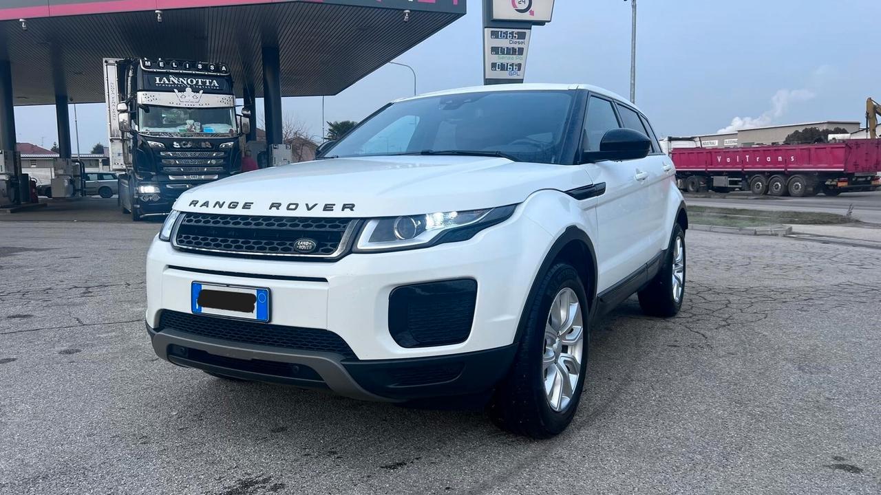 Land Rover Range Rover Evoque Range Rover Evoque 2.0 TD4 150 CV 5p. Pure