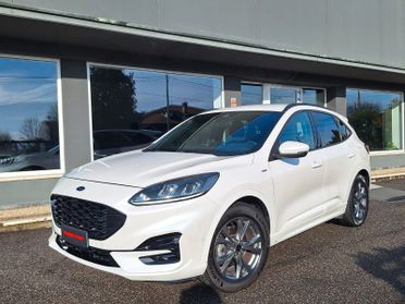 Ford Kuga 1.5 EcoBlue 120 CV aut. 2WD ST-Line X