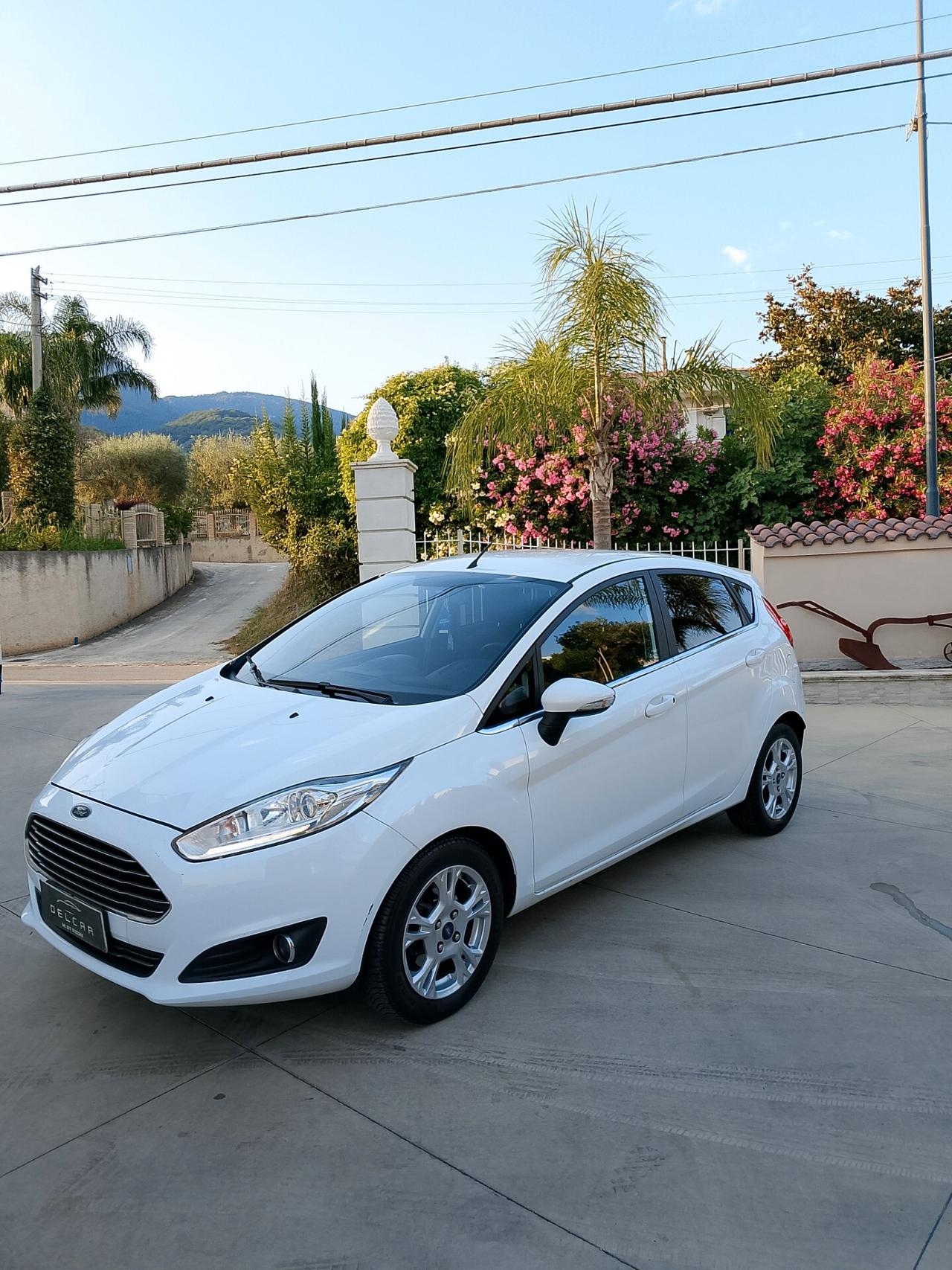 Ford Fiesta 1.4 5 porte Bz.- GPL Black & White Edition