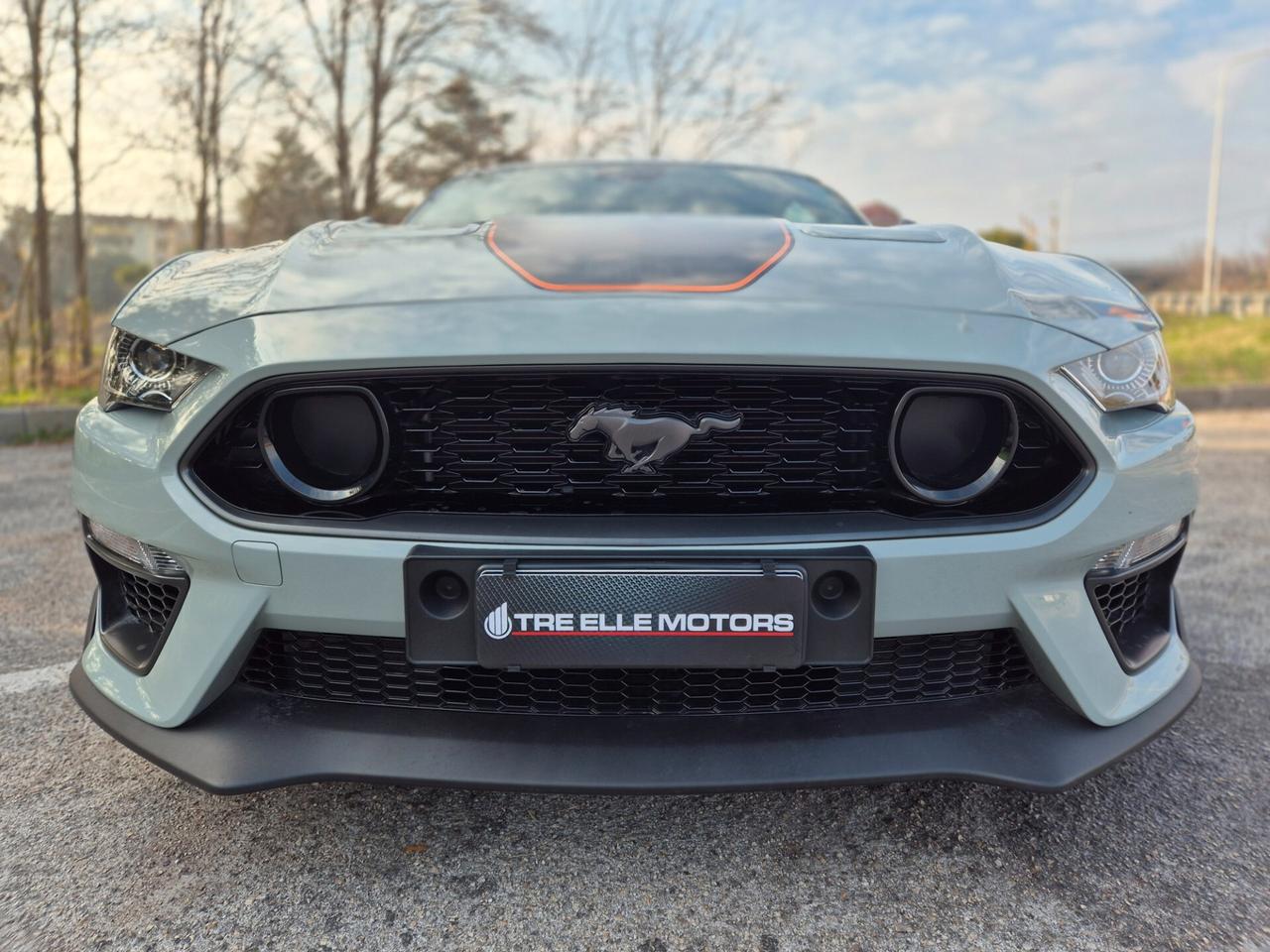 Ford Mustang MACH 1