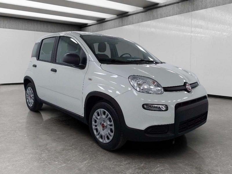 FIAT Panda 1.0 firefly hybrid s&s 70cv 5p.ti