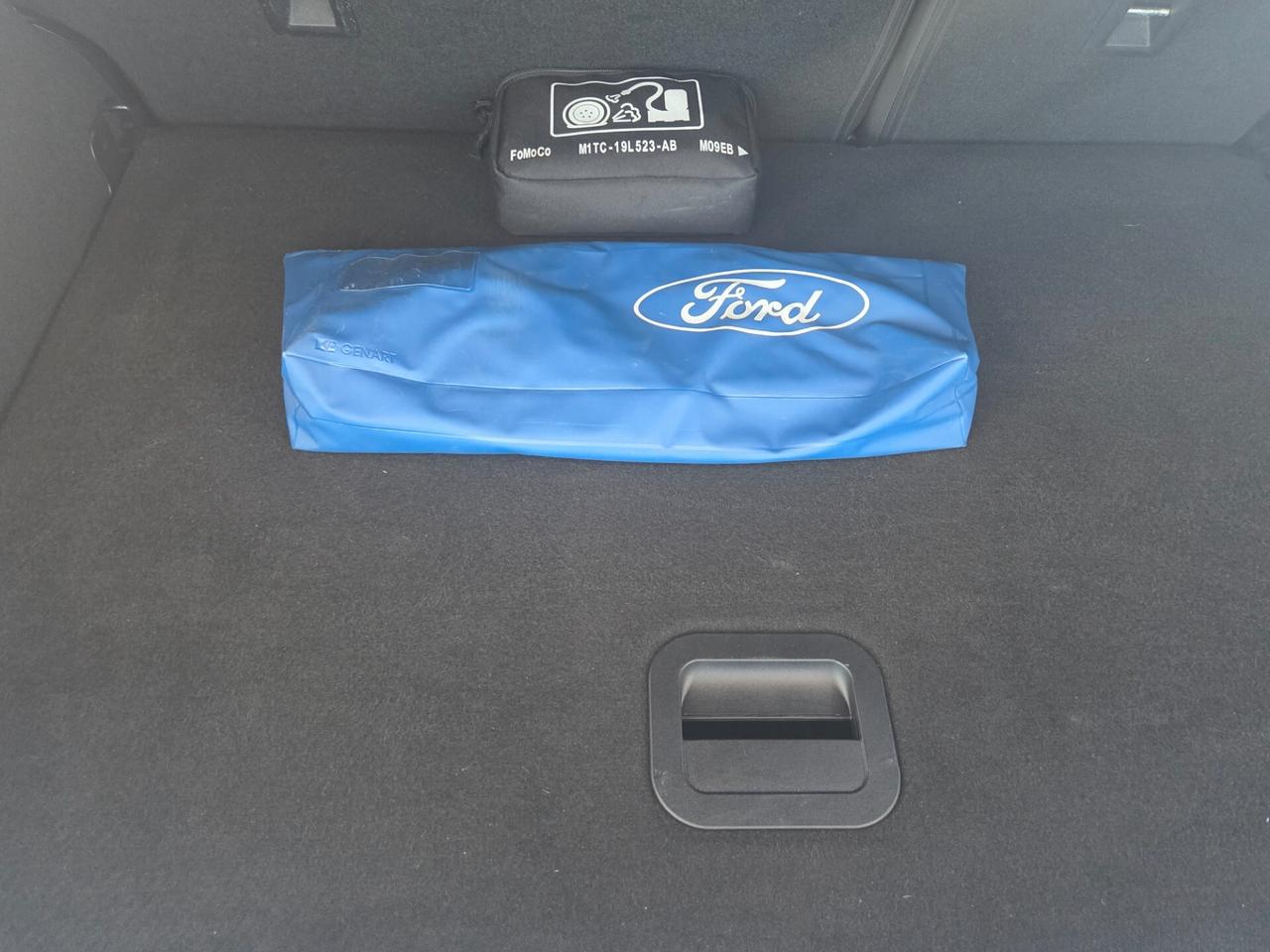 Ford Puma 1.0 EcoBoost Hybrid 125 CV S&S ST-Line