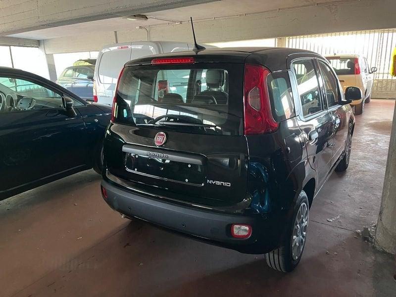 FIAT Panda Panda 1.0 FireFly S&S Hybrid Pop