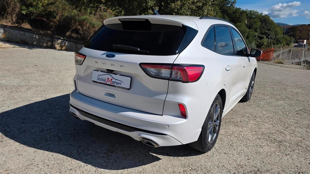Ford Kuga 1.5 EcoBlue 120 CV aut. 2WD ST-Line X