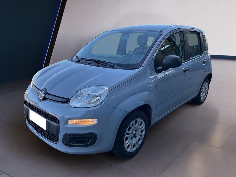 FIAT Panda III 2016 1.2 Easy s&s 69cv my19