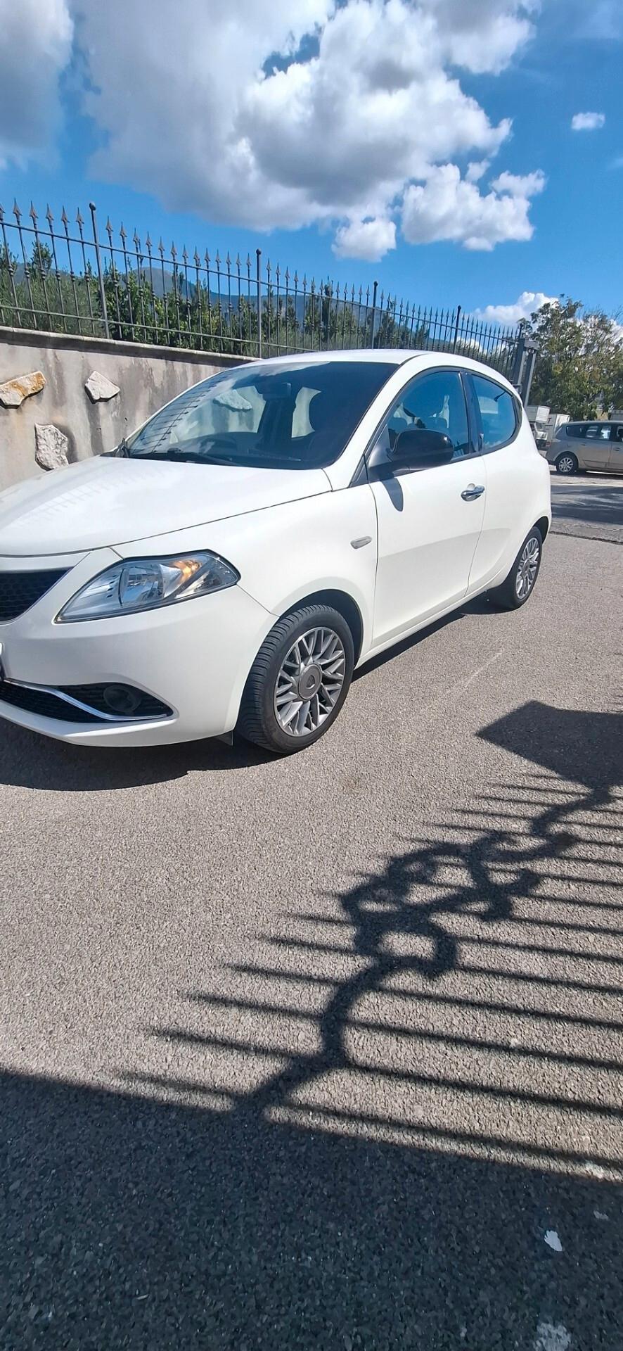 Lancia Ypsilon 1.3 MJT 16V 95 CV 5 porte S&S Platinum