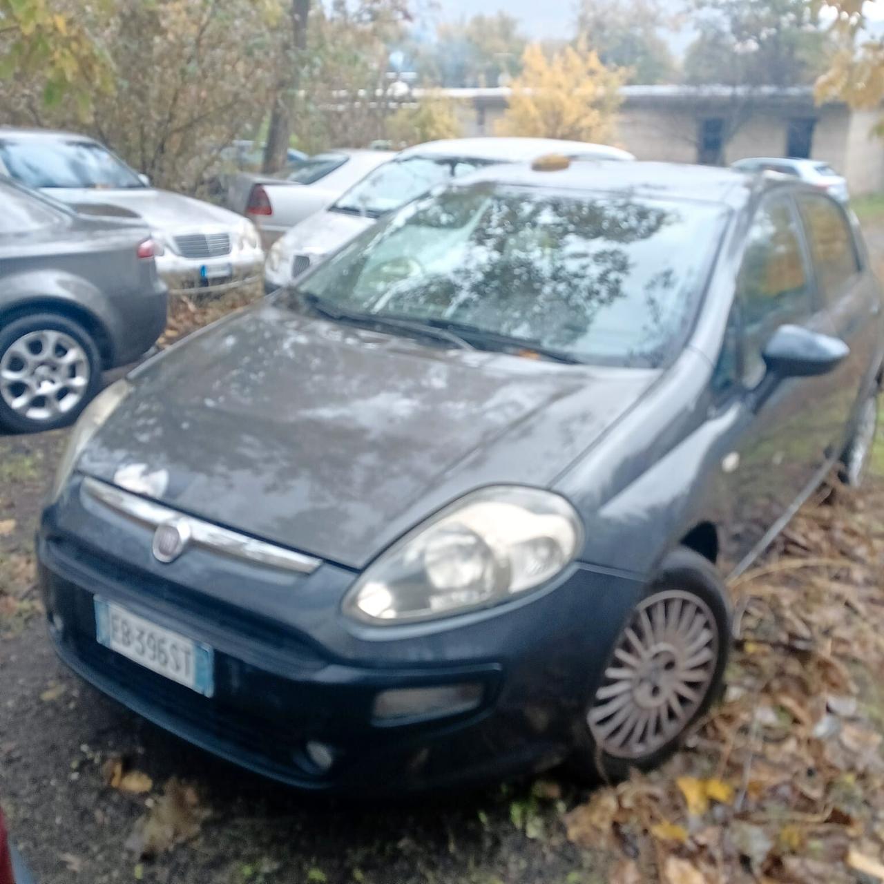 Fiat Punto Evo Punto Evo 1.3 Mjt 75 CV 5 porte Dynamic