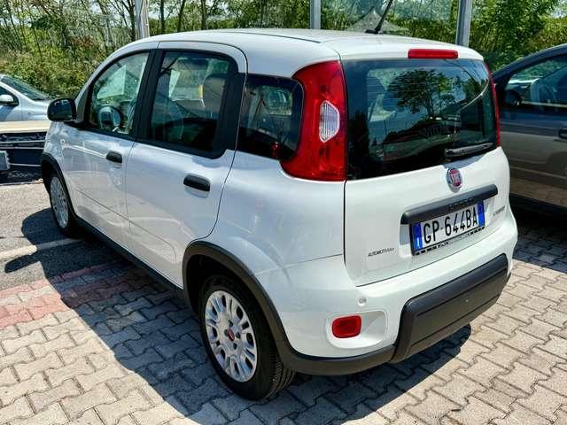 Fiat Panda Panda 1.0 firefly hybrid PRONTA CONSEGNA