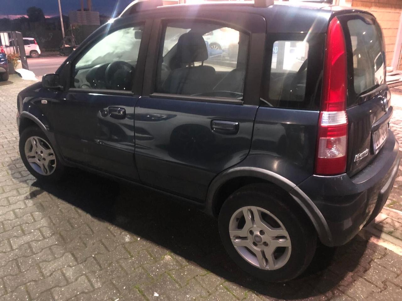 Fiat Panda 1.2 Climbing Natural Power