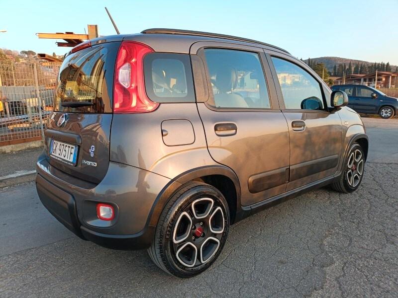 FIAT Panda 3ª serie Panda 1.0 FireFly S&S Hybr...