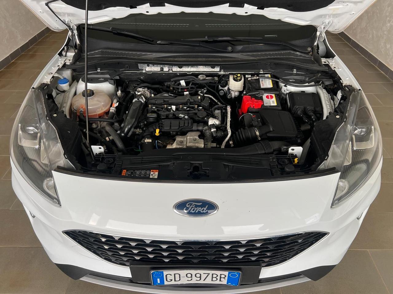 Ford Kuga 1.5 EcoBlue 120 CV 2WD Titanium