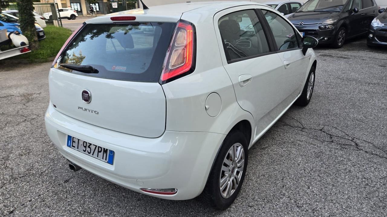 Fiat Punto 1.2 8V 5 porte Street Ok Neopatentati