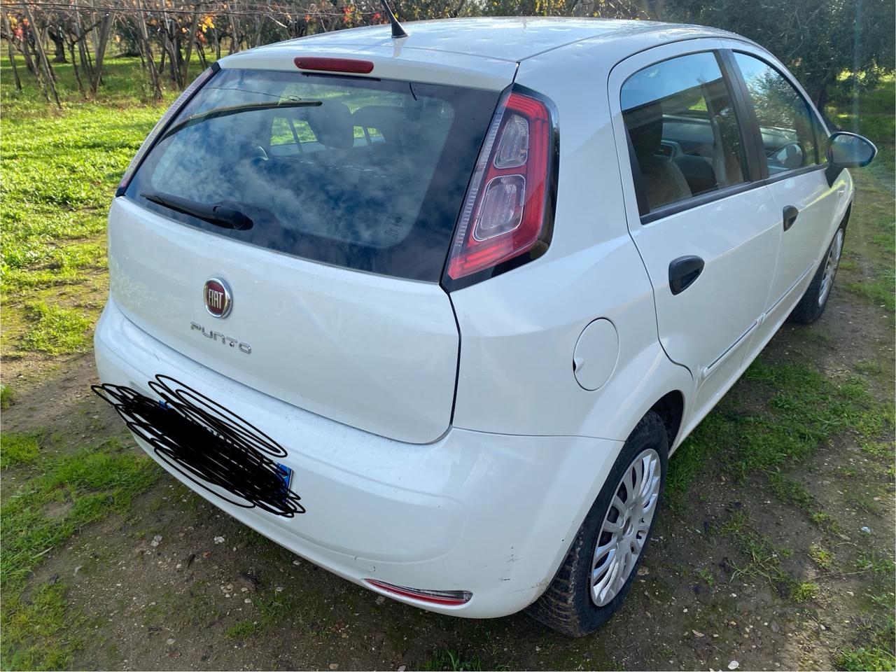 Fiat Punto 1.3 MJT II 75 CV 5 porte Pop