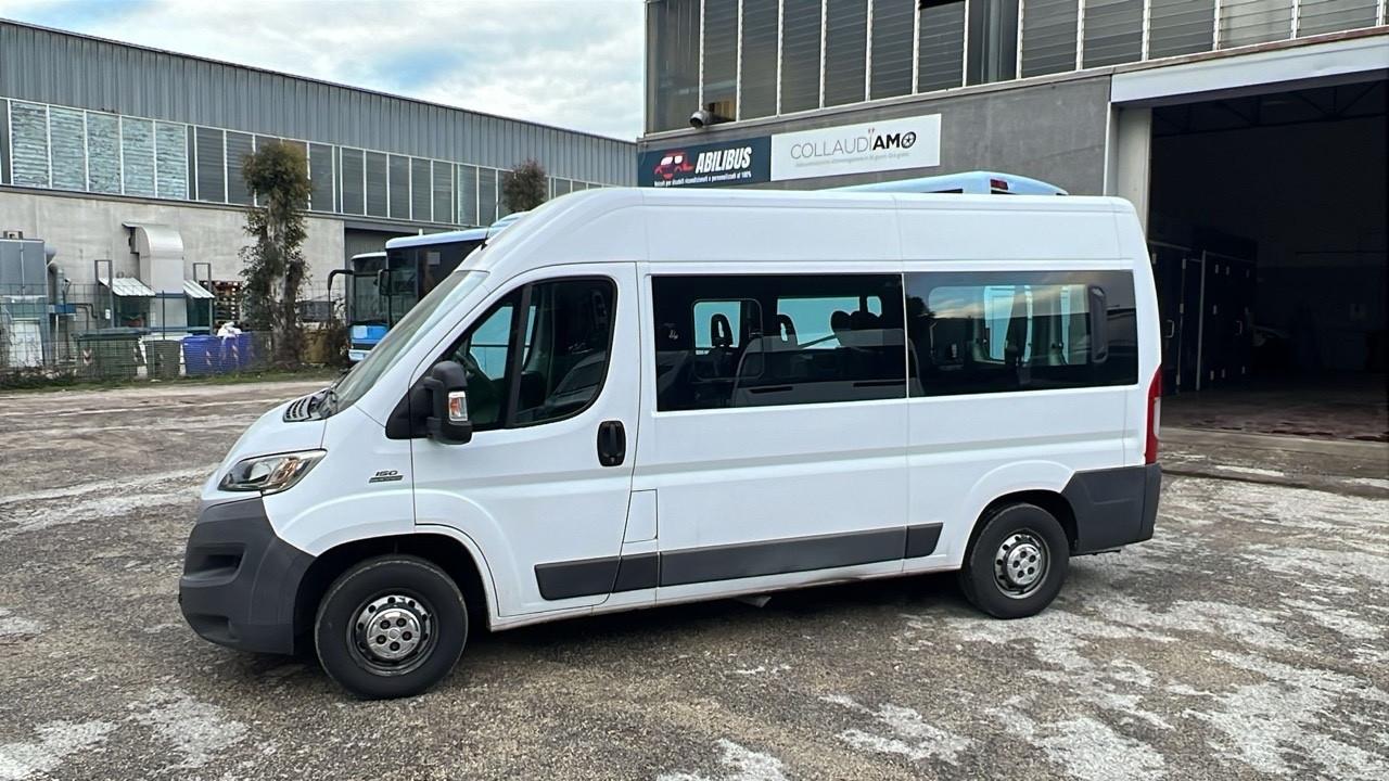 Minibus 9 posti per disabili usato Fiat Ducato 290