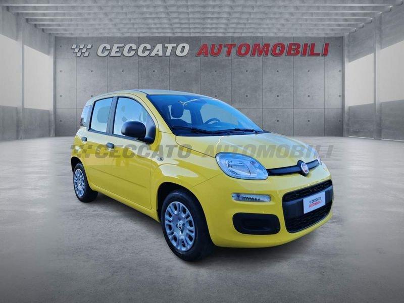 FIAT Panda Panda 1.0 70cv Hybrid Icon