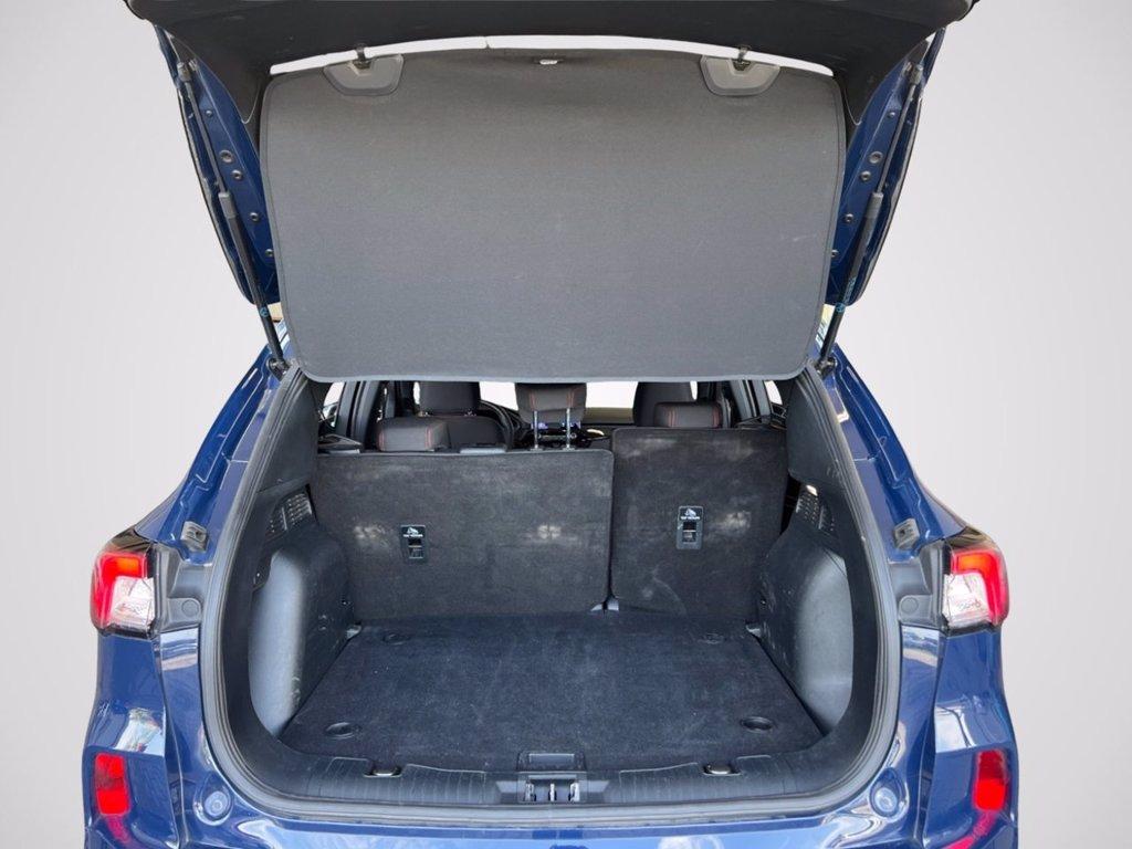 FORD Kuga 2.0 EcoBlue 120 CV aut. 2WD ST-Line del 2024