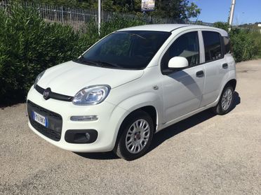 Fiat Panda 1.3 MJT 80Cv Easy Van 4 posti Autocarro N1