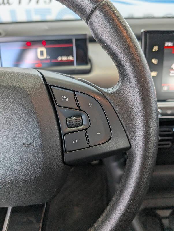 Citroen C4 Cactus 1.5 bluehdi Shine s&s 100cv