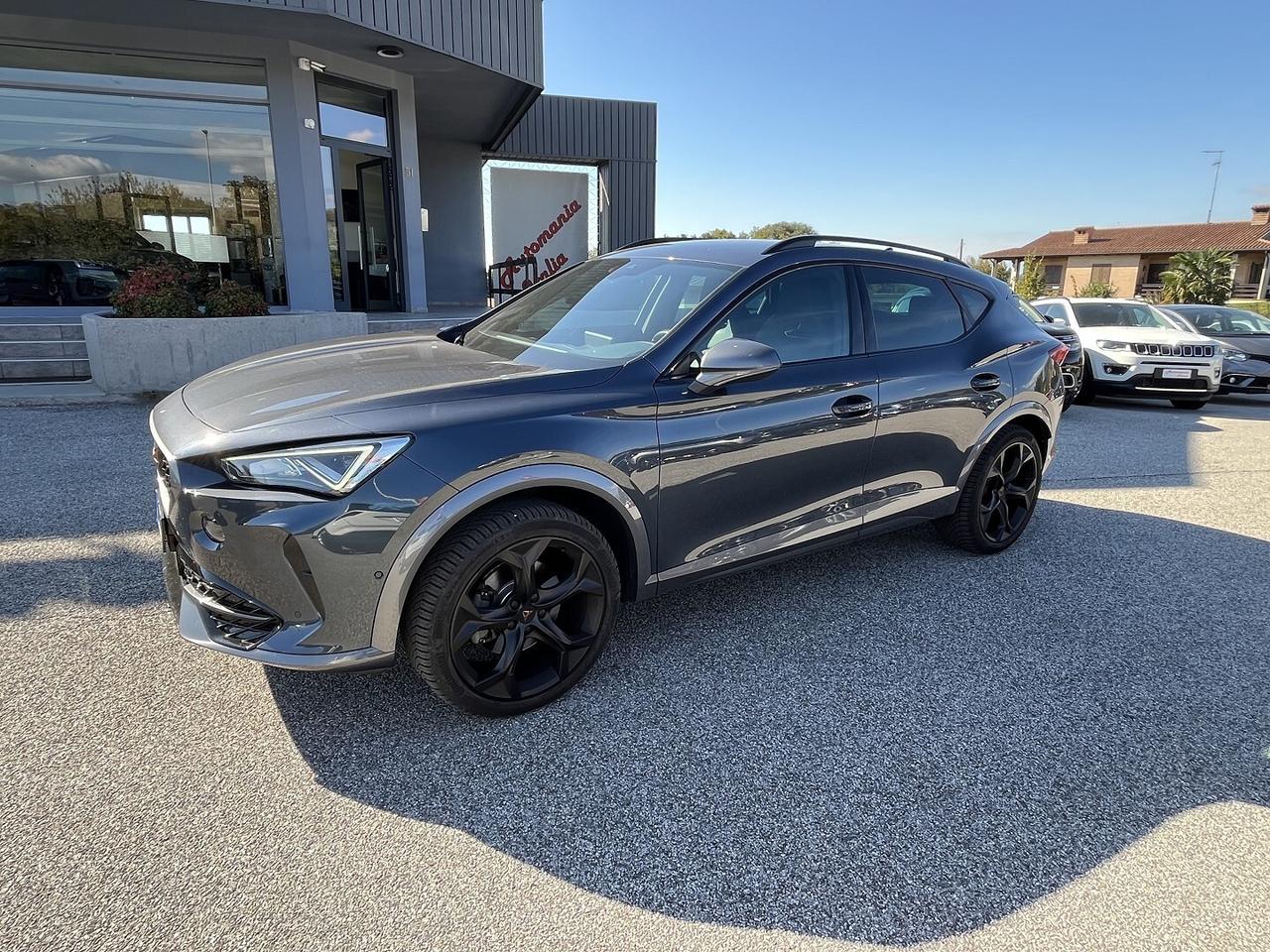 CUPRA FORMENTOR 2.0 TDI 150 CV 4X4 DSG