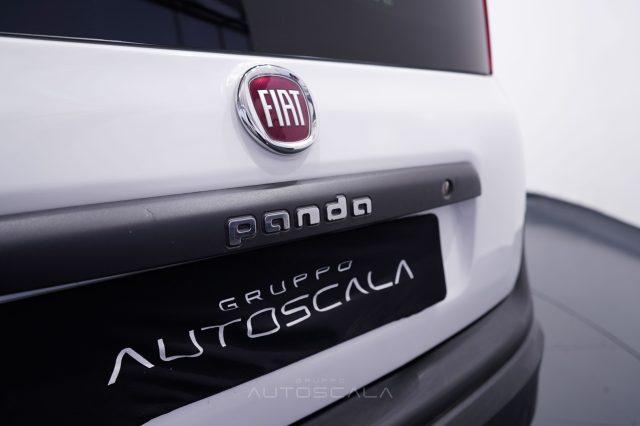 FIAT New Panda 1.2 69cv Pop Van 2 posti