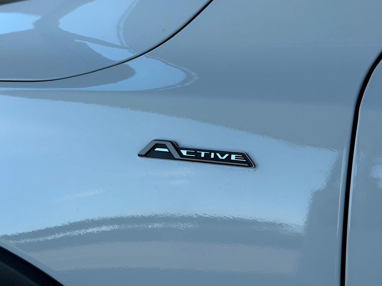 Ford Focus 2.0 EcoBlue 150 CV automatico Active