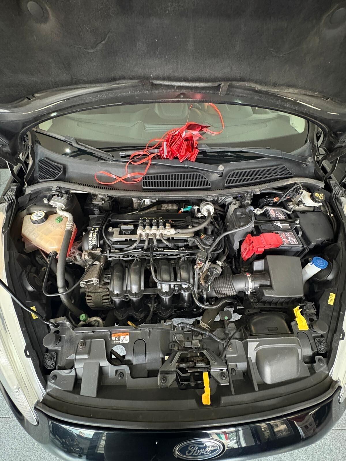 Ford Fiesta 1.4 5 porte Bz.- GPL Black & White Edition