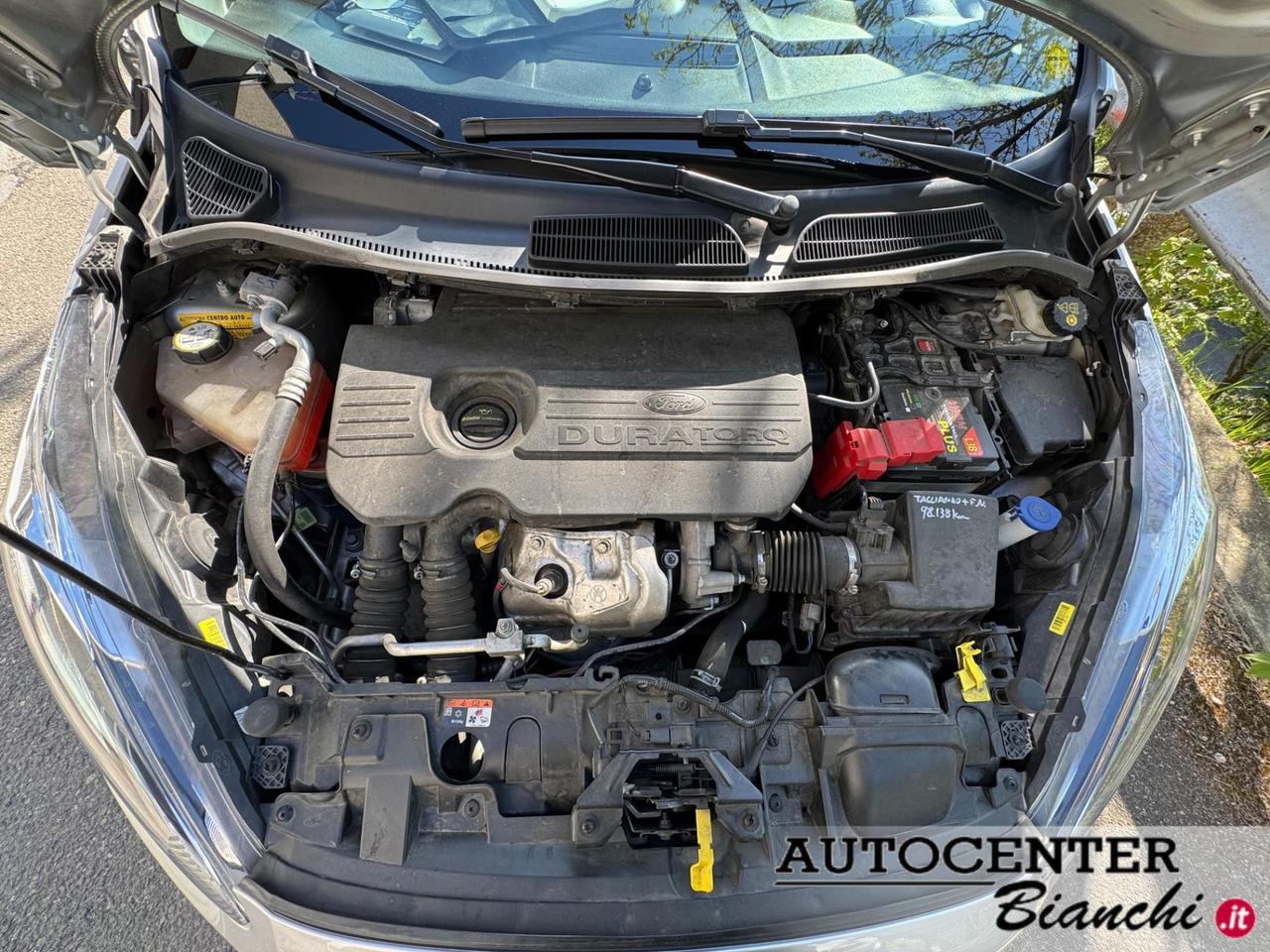 Ford Fiesta 5 Porte 1.5 tdci 75cv