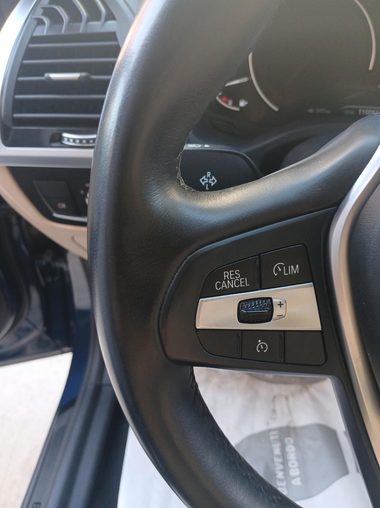 Bmw X3 xDrive20d Business Advantage