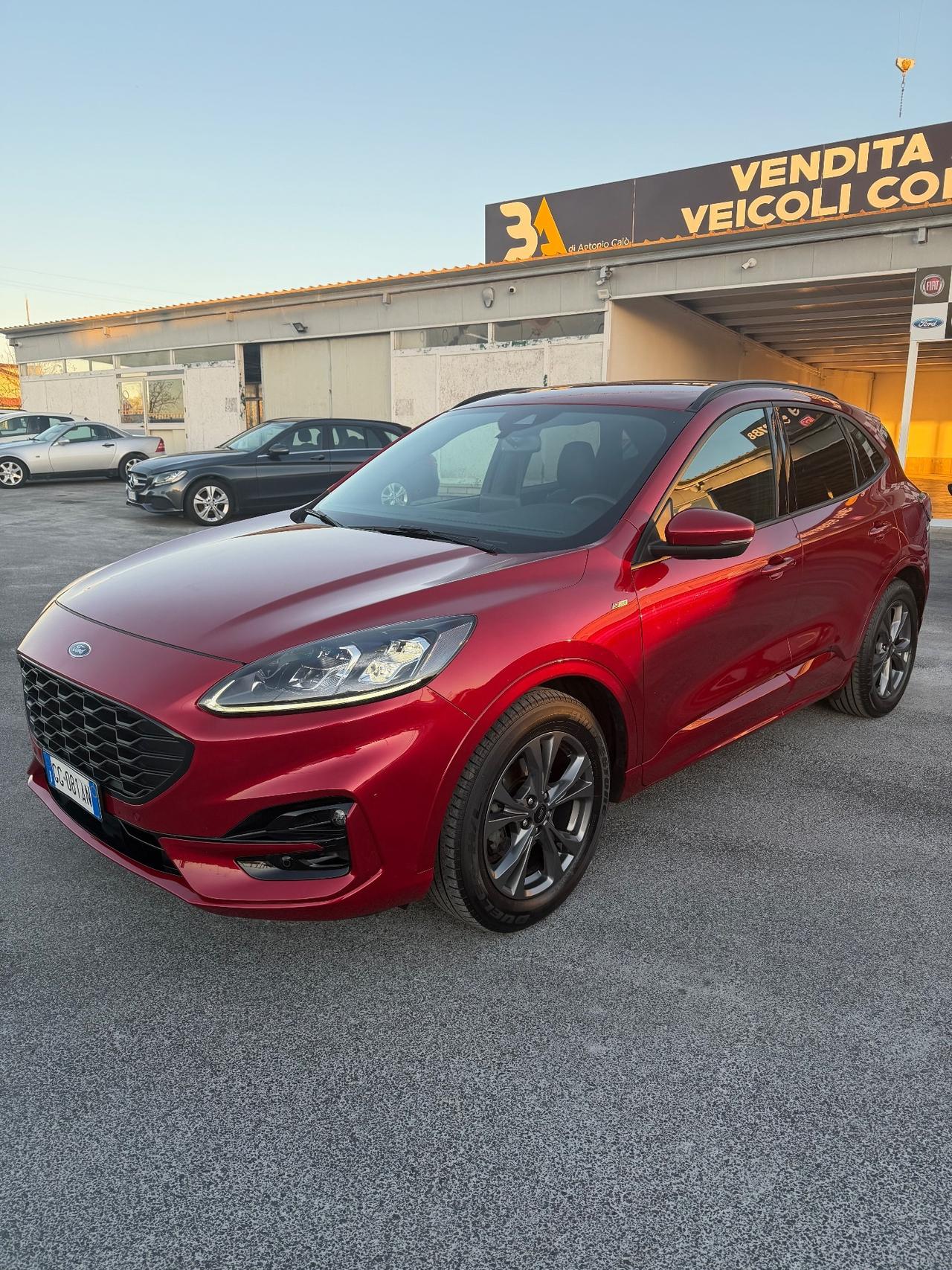 Ford Kuga 1.5 EcoBlue 120 CV aut. 2WD ST-Line X