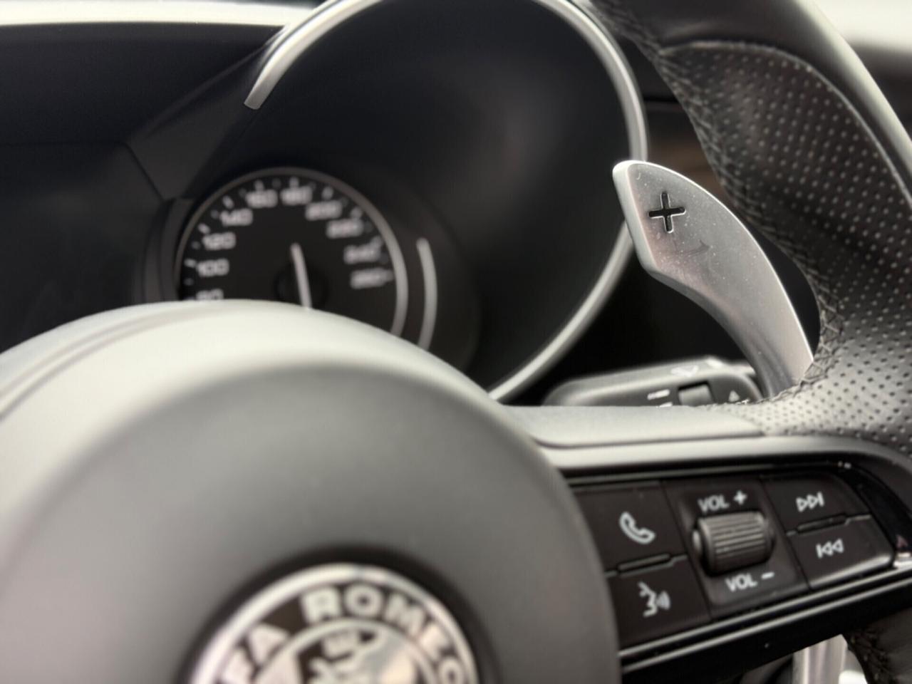 Alfa Romeo Giulia 2.2 Executive NAVI, TELECAMERA 75.000KM!