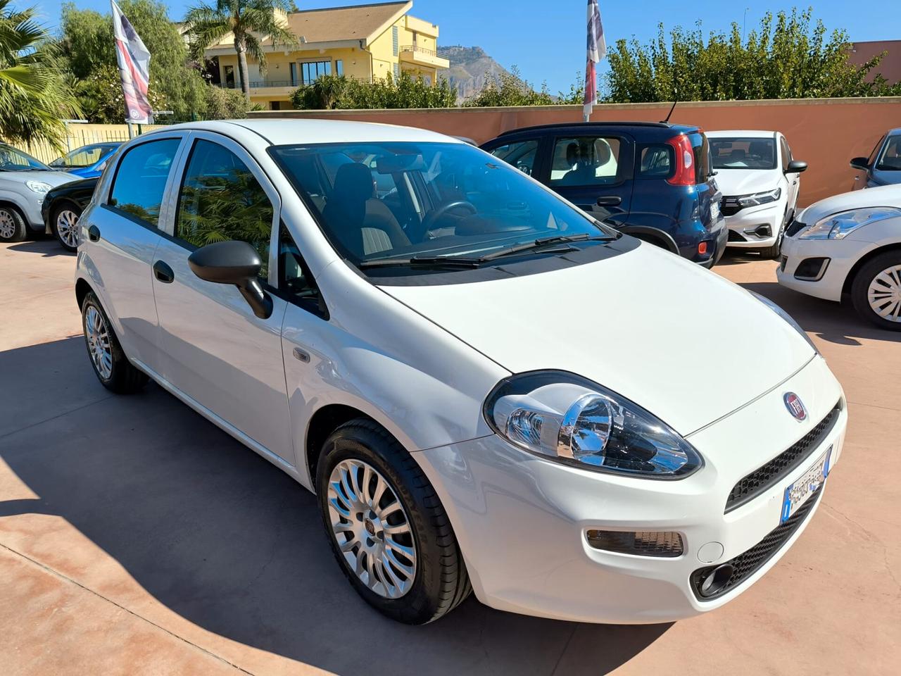 Fiat Punto 1.3 MJT II S&S 95 CV 5 porte Street