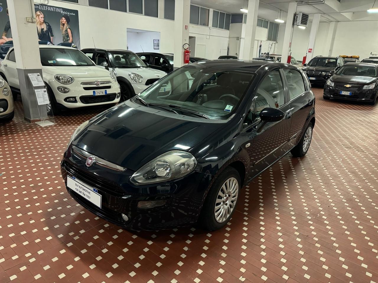 Fiat Punto Evo Punto Evo 1.2 5 porte S&S Active NEOPATENTATI