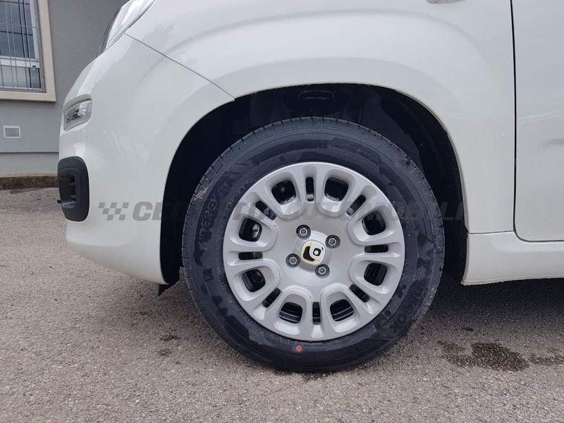 FIAT Panda Panda 1.0 firefly hybrid s&s 70cv