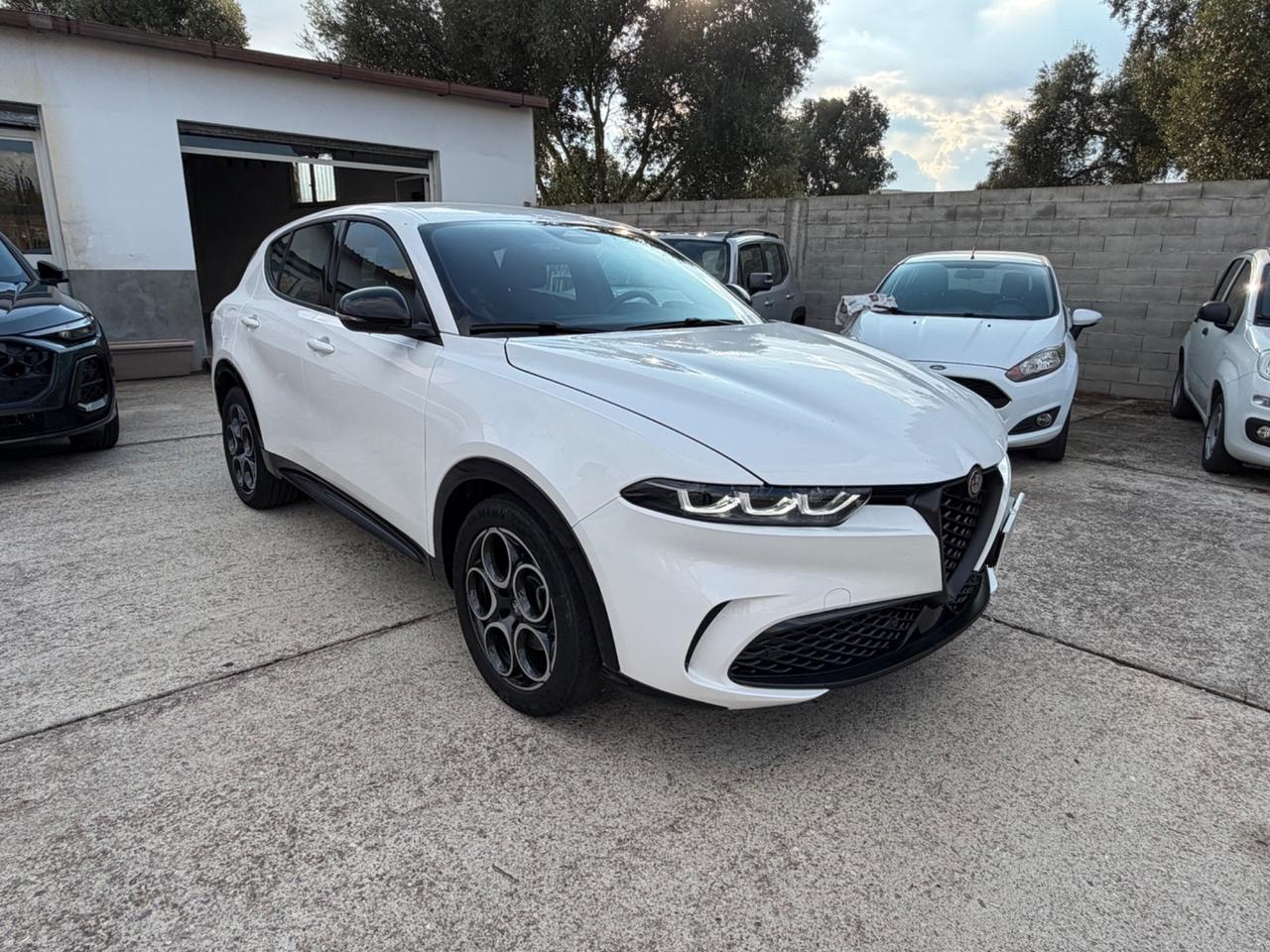 Alfa Romeo Tonale 1.6diesel 130CV TCT6 Sprint 24