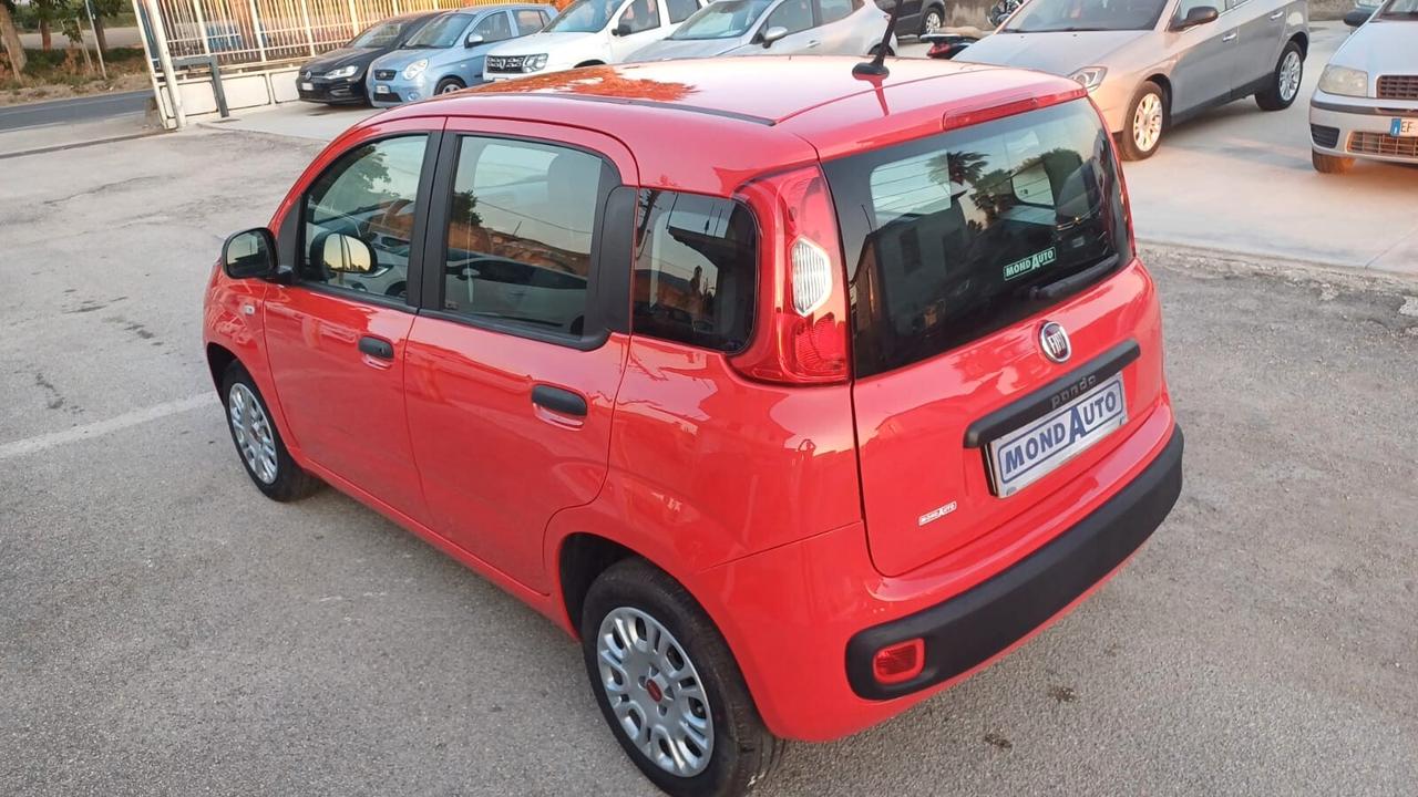 Fiat Panda 1.2 Easy 2020 62MILA KM COME NUOVA