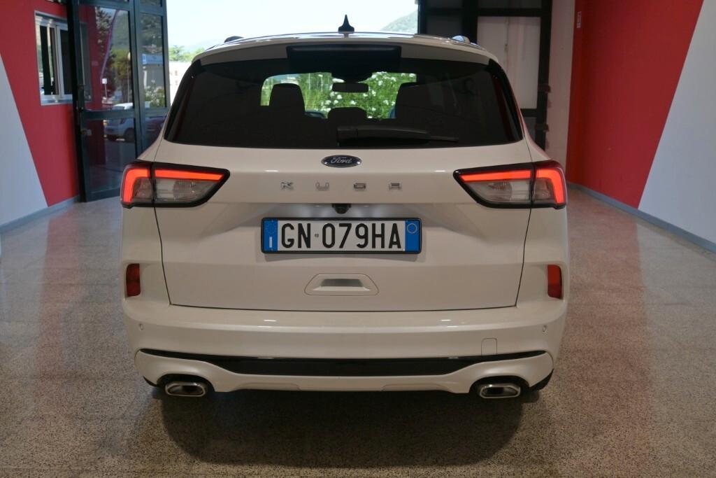 Ford Kuga 1.5 EcoBlue 120 CV aut. 2WD ST-Line