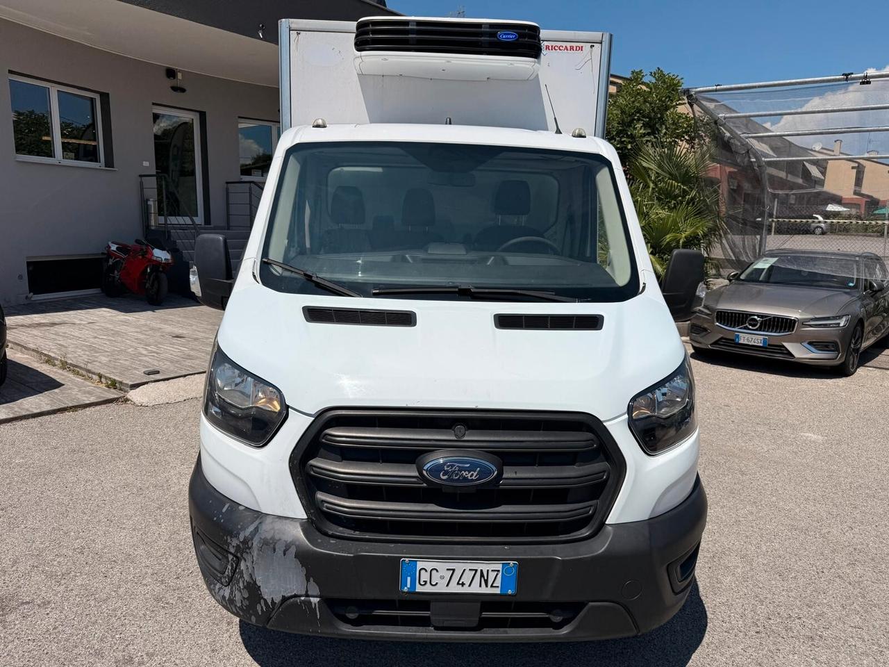 Ford Transit 350 2.0TDCi EcoBlue 170CV FRIGO GEMELLATO