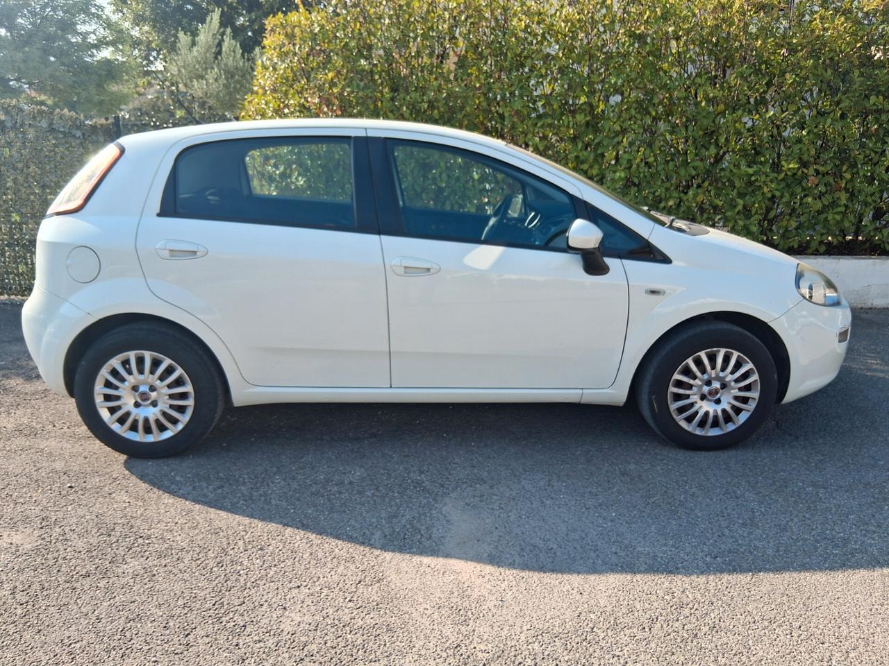 Fiat Punto 1.2 8V 5 porte
