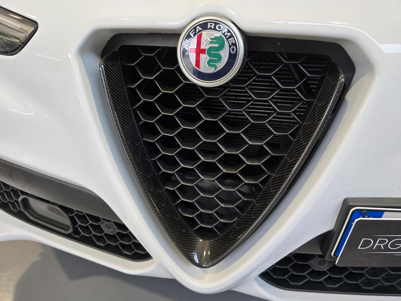 Alfa Romeo Stelvio 2.2 Turbodiesel 210 CV AT8 Q4 Ti CARBON PACK/20"/TETTO/SOSP ATTIVE