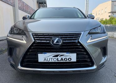 Lexus NX 300h NX Hybrid Business 2020