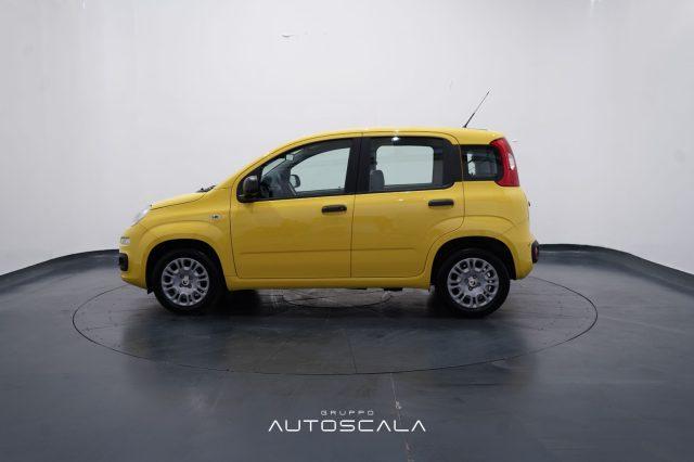 FIAT New Panda My25 1.0 FireFly S&S Hybrid