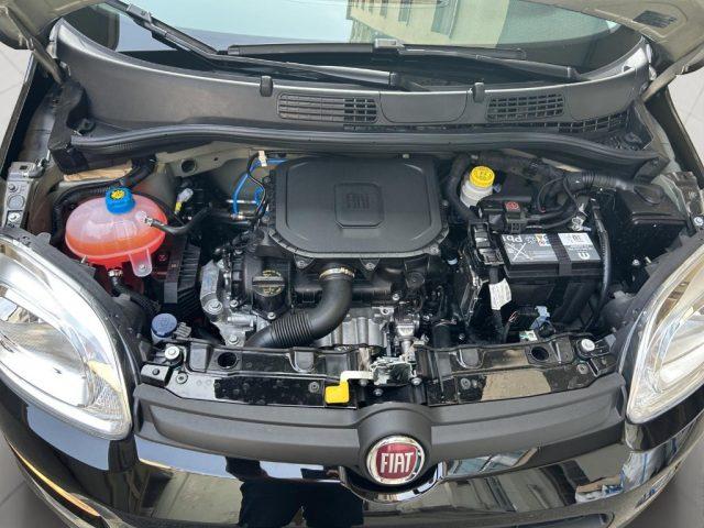 FIAT Panda Promo Car Serenity