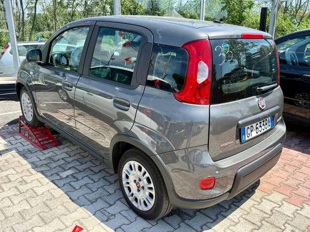 Fiat Panda Panda 1.0 firefly hybrid PRONTA CONSEGNA DISPONIBILI VARI COLORI